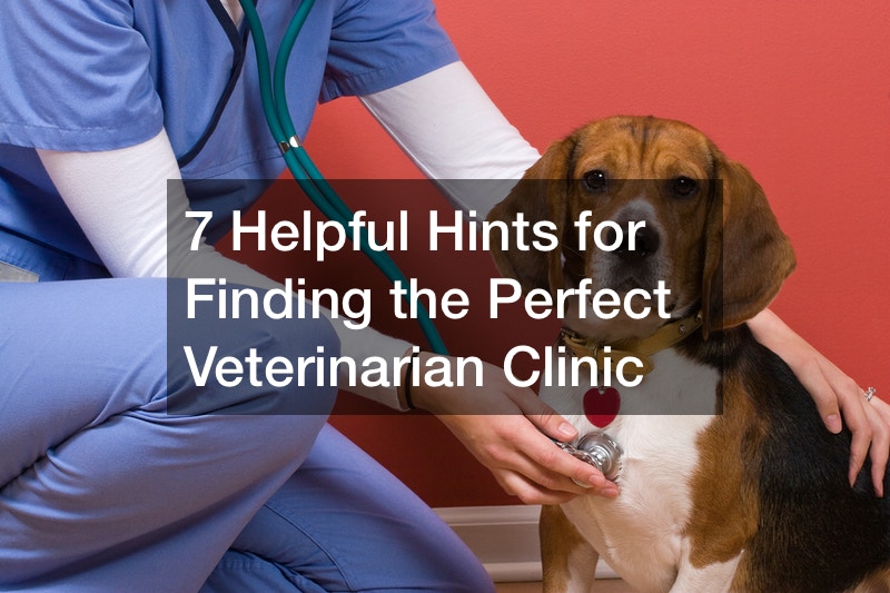 7 Helpful Hints for Finding the Perfect Veterinarian Clinic - Find