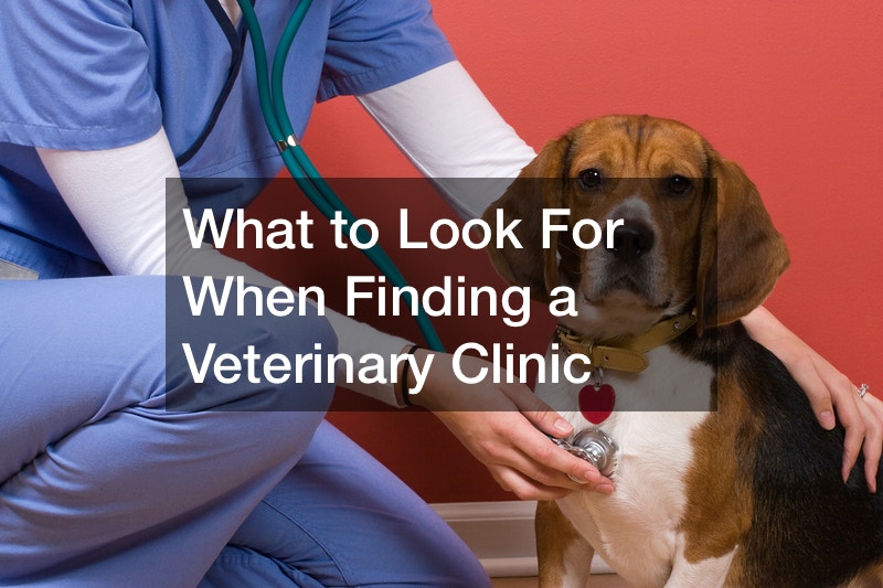 bad veterinarian experiences